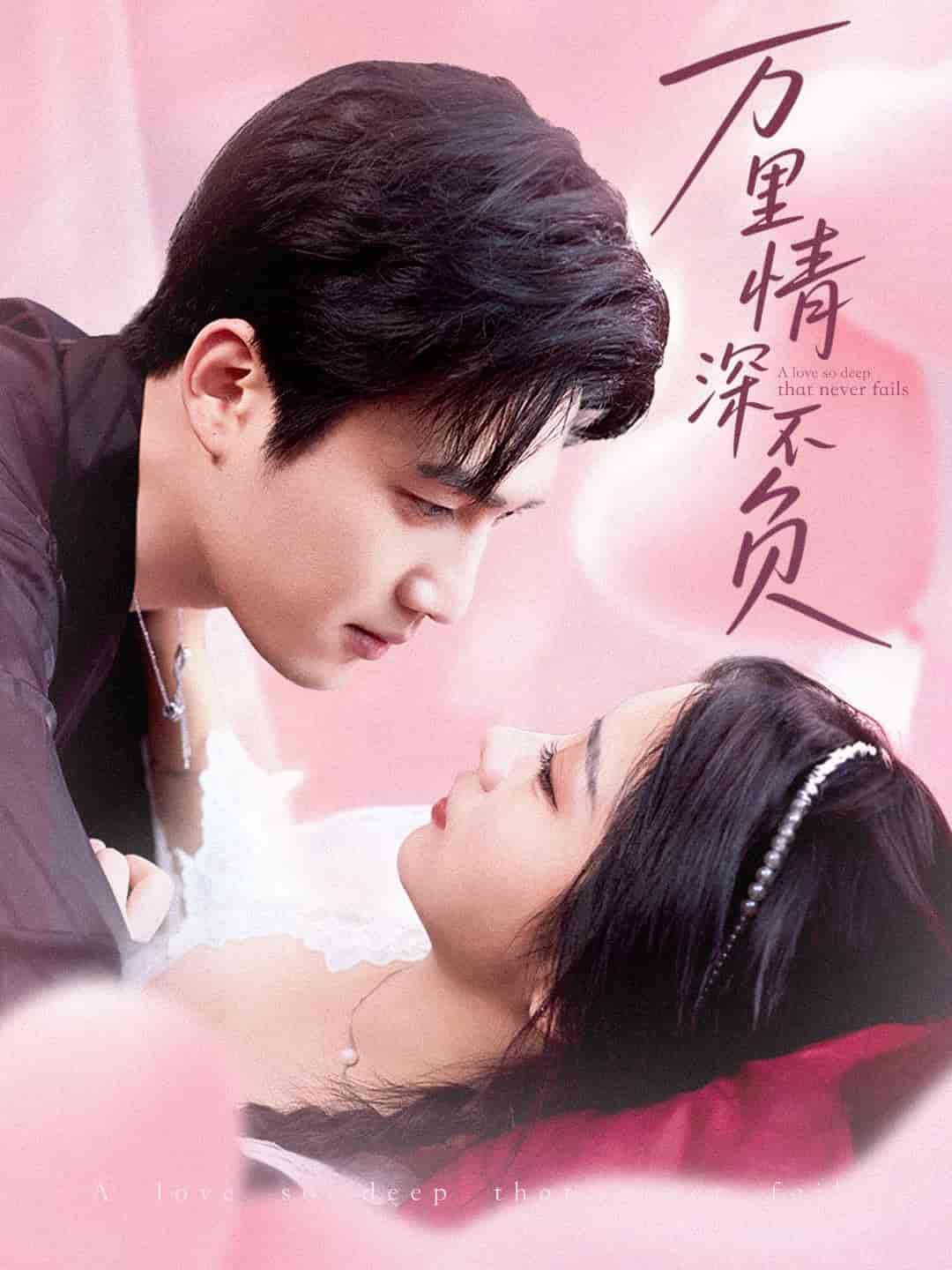 万里情深不负封面图