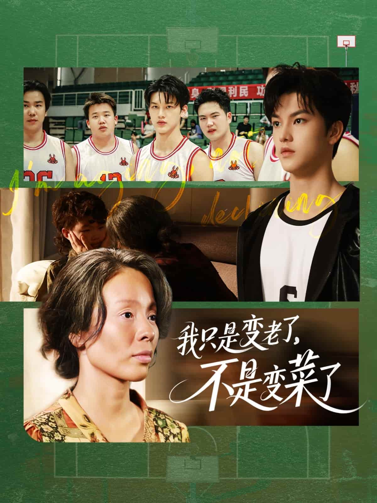 我只是变老了，不是变菜了封面图