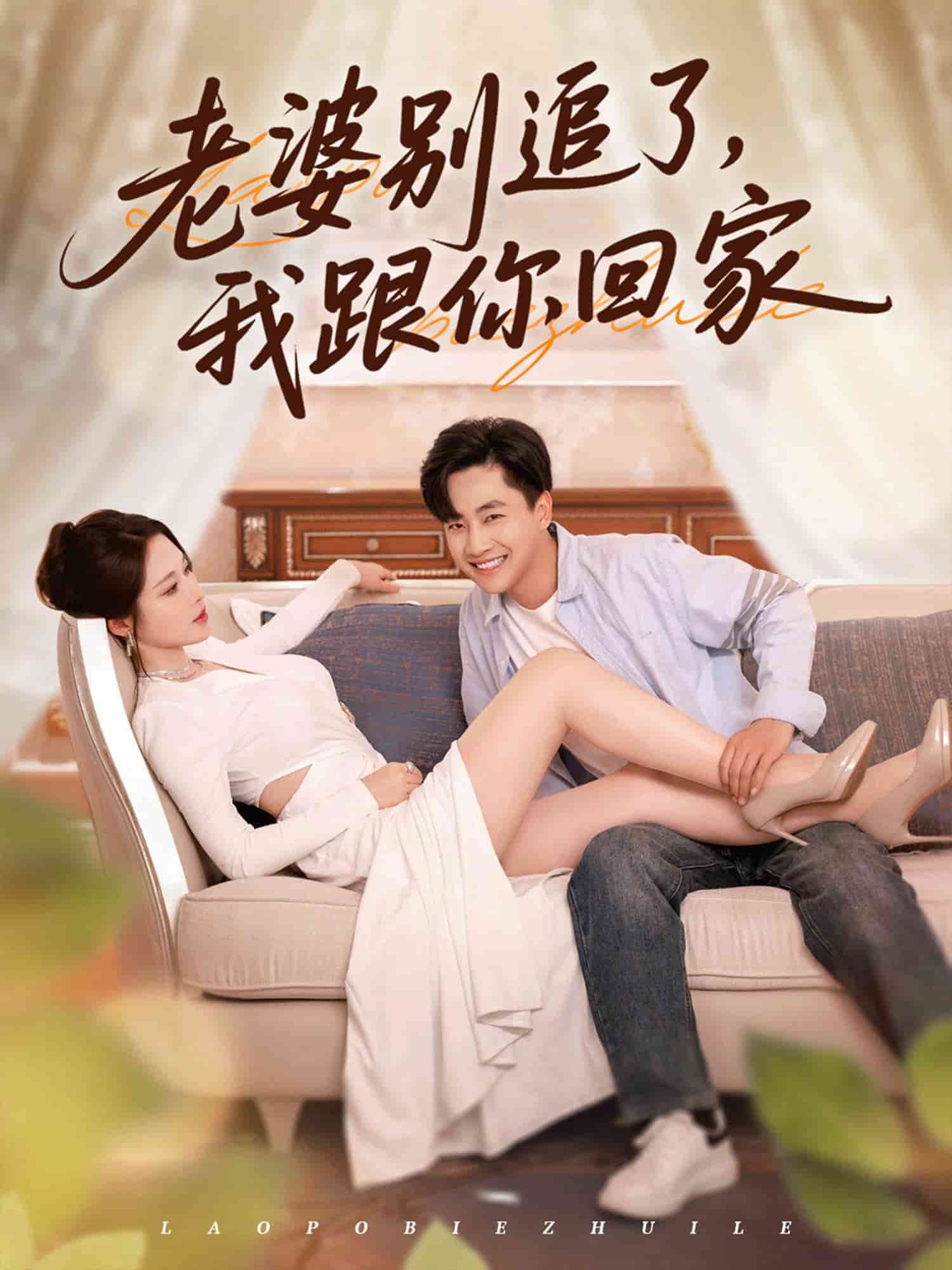 老婆别追了我跟你回家封面图