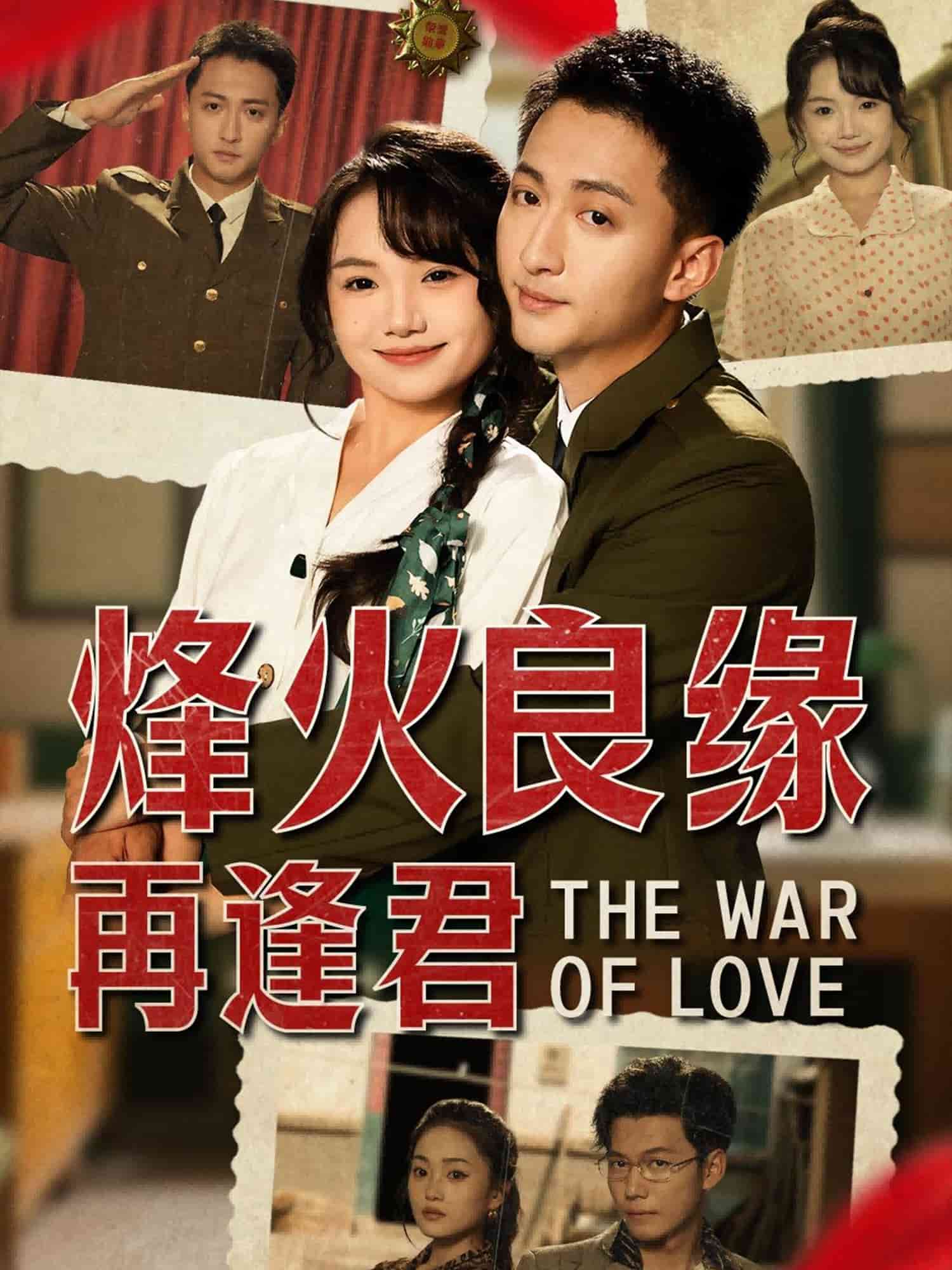 烽火良缘再逢君封面图