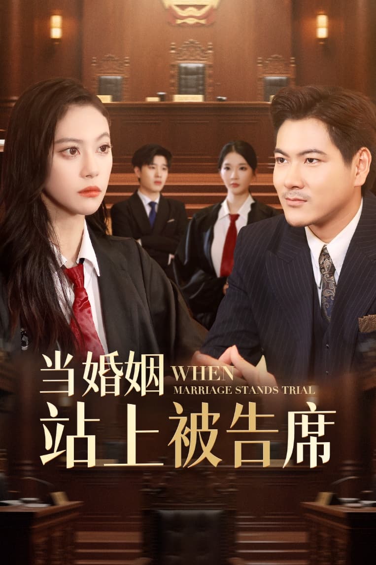 当婚姻站上被告席封面图