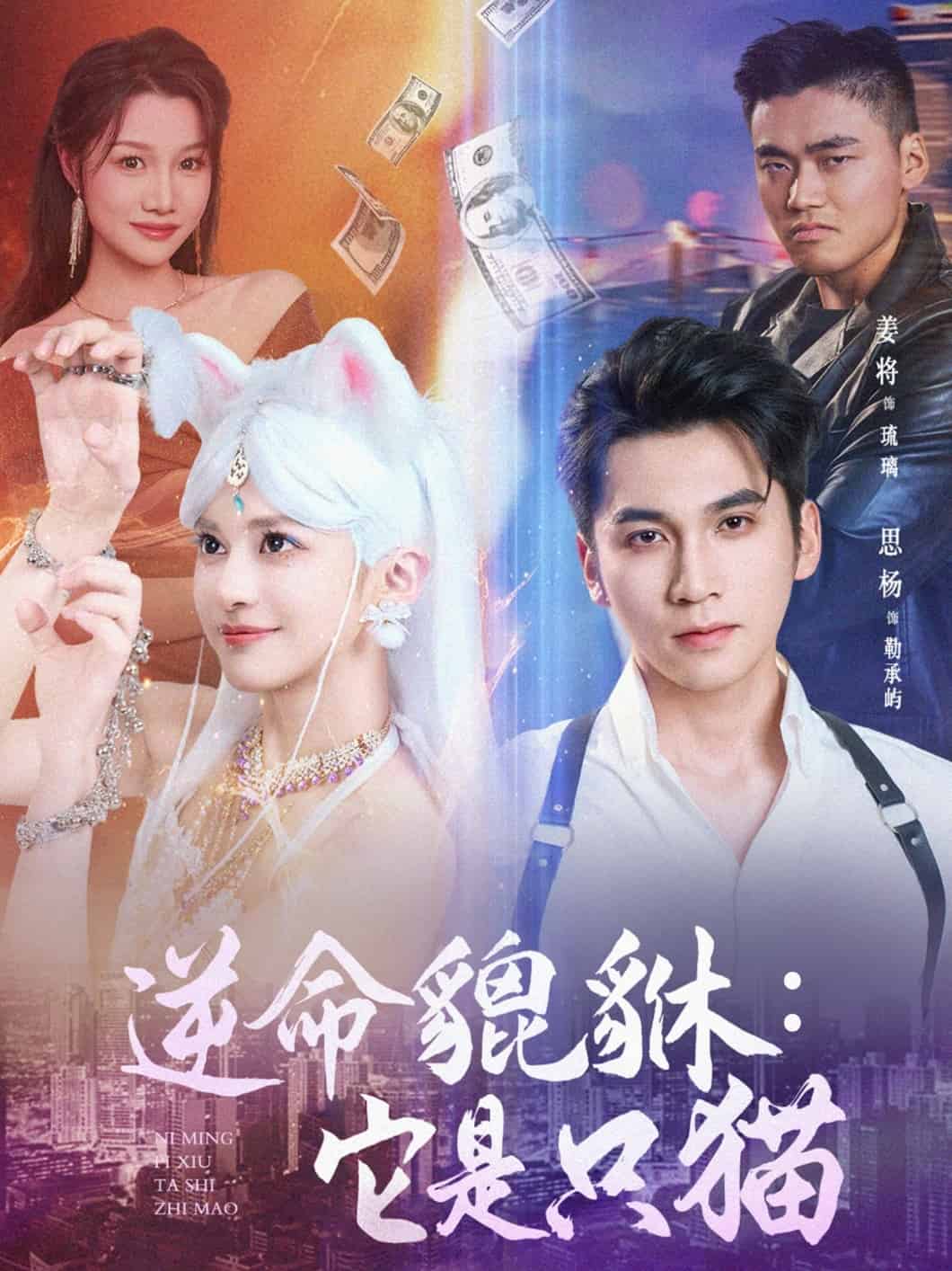 逆命貔貅它是只猫