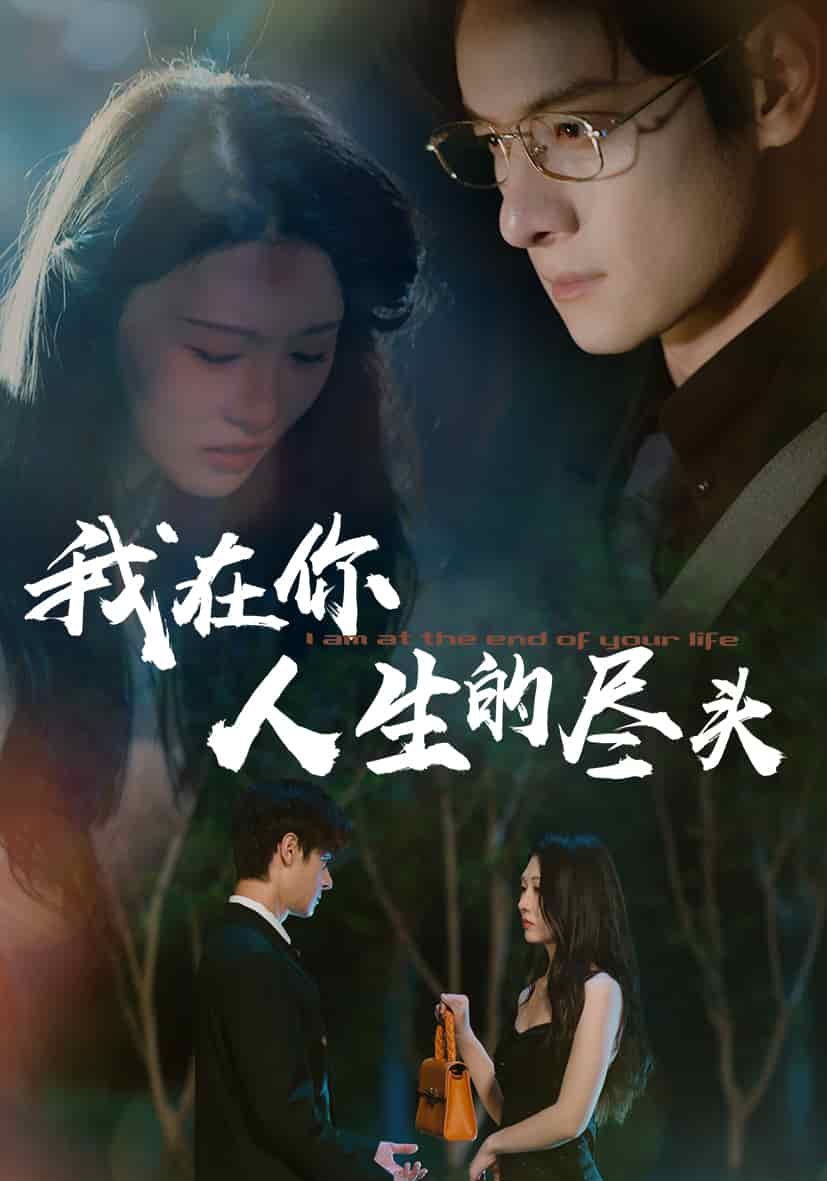 我在你人生的尽头封面图