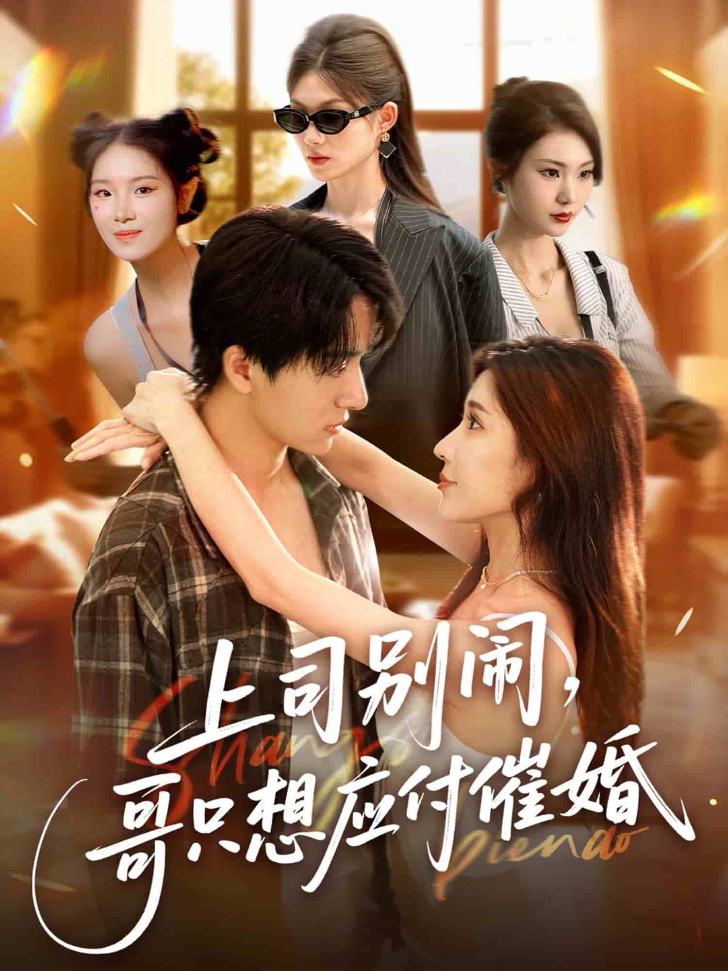 上司别闹哥只想应付催婚封面图