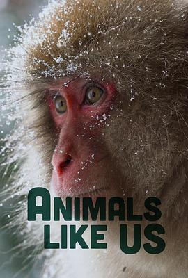 Animals Like