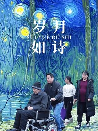 岁月如诗封面图