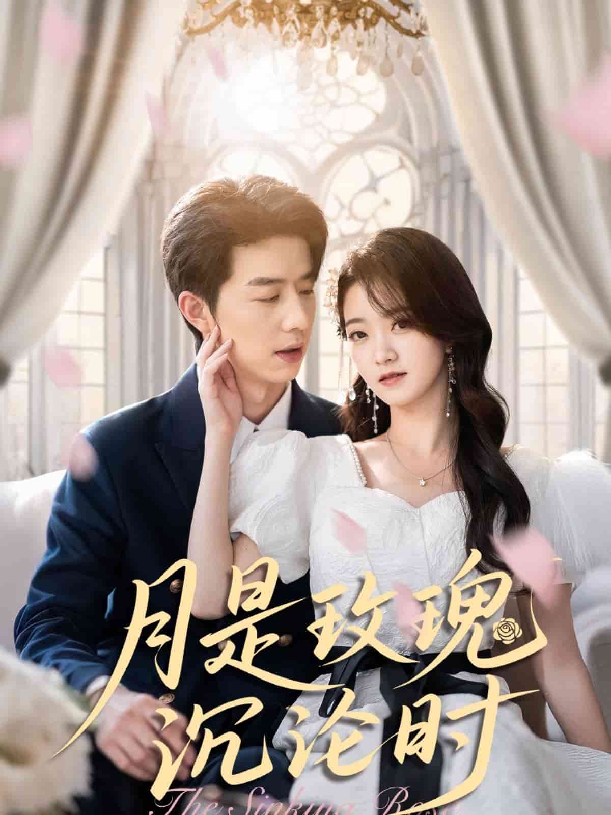 月是玫瑰沉沦时封面图