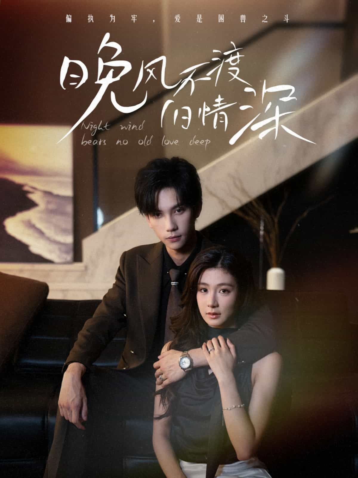 晚风不渡旧情深封面图