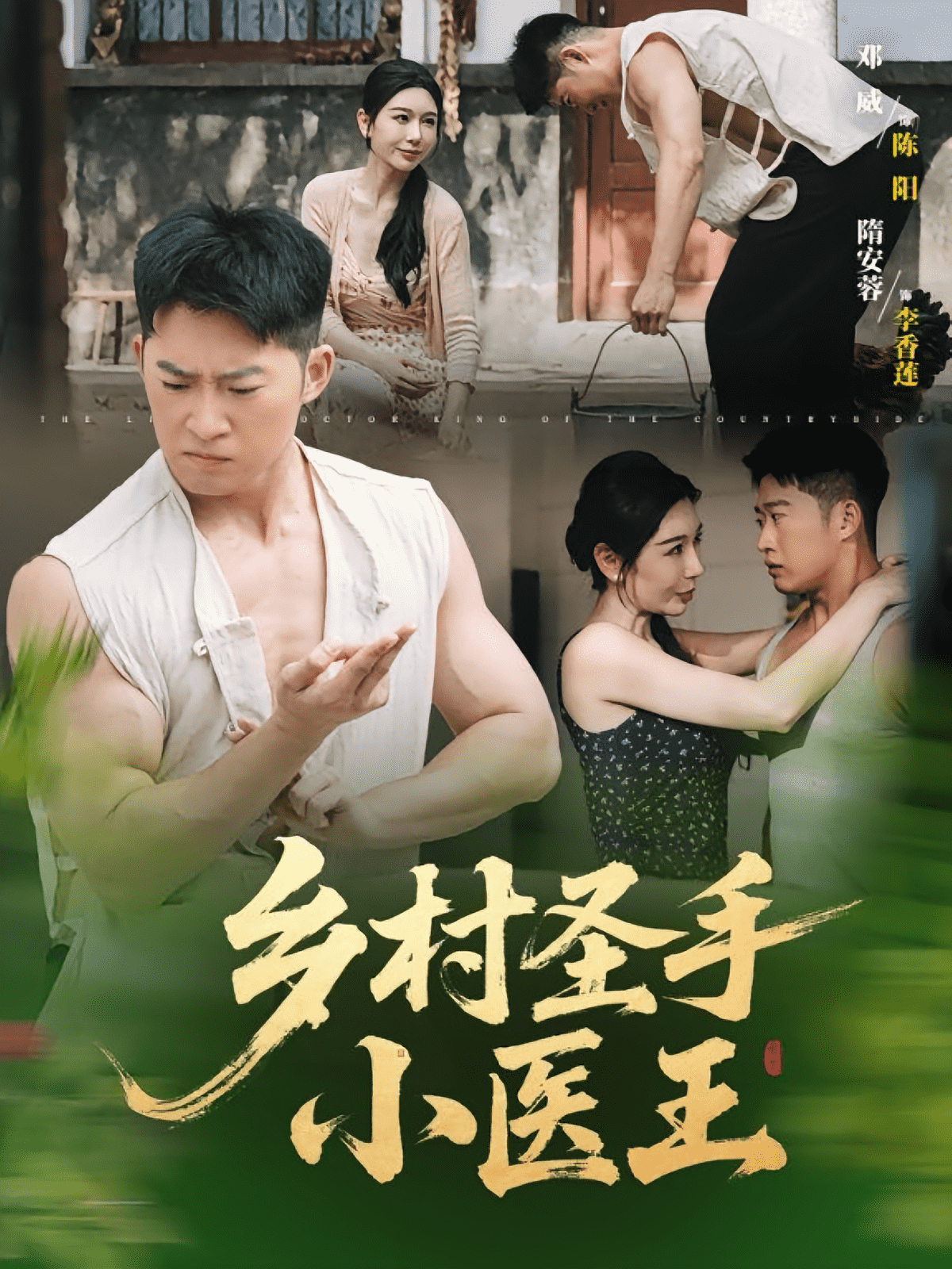 乡村圣手小医王封面图