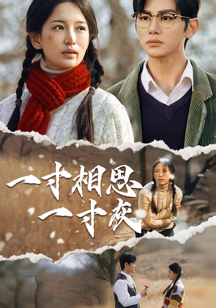 一寸相思一寸灰封面图