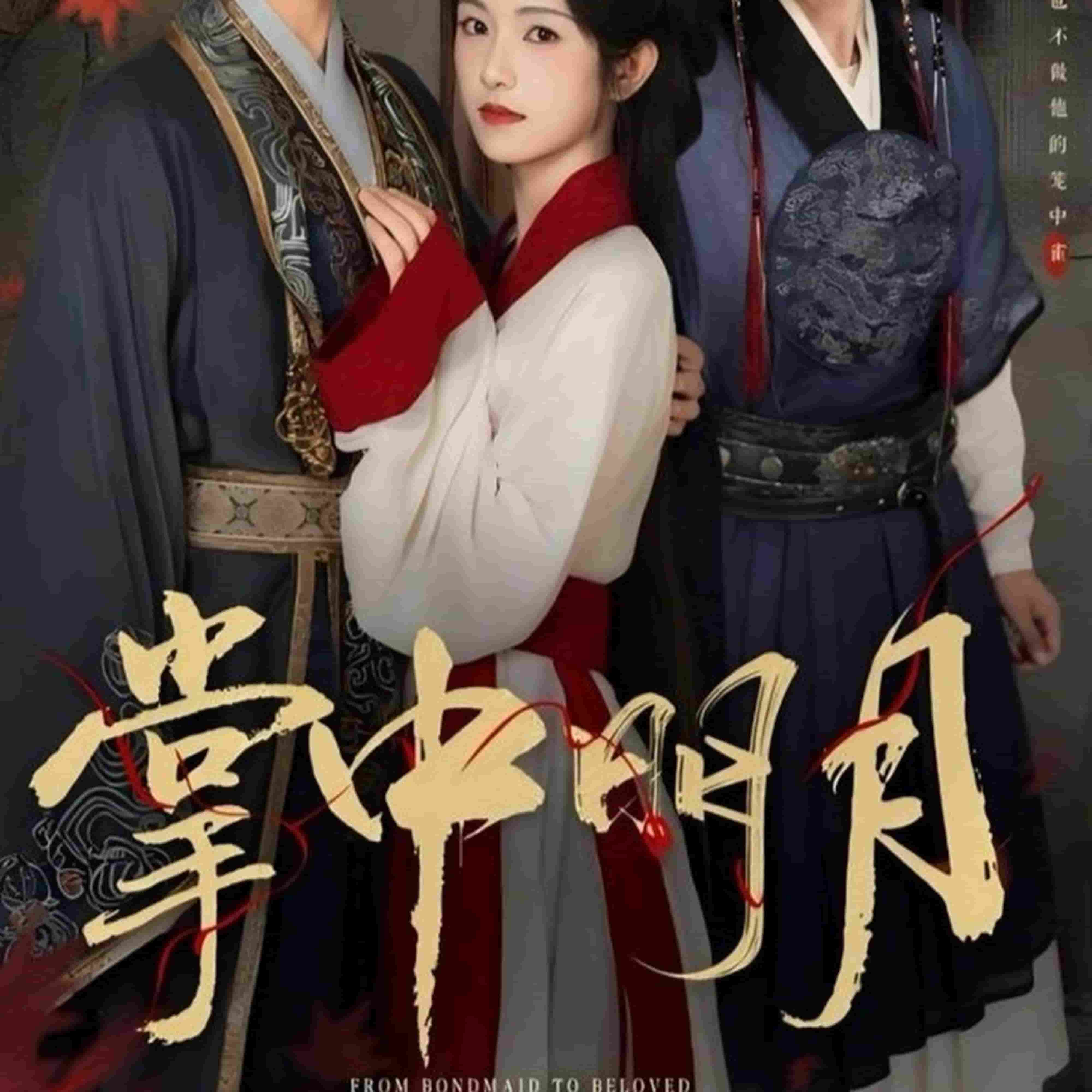 掌中明月封面图