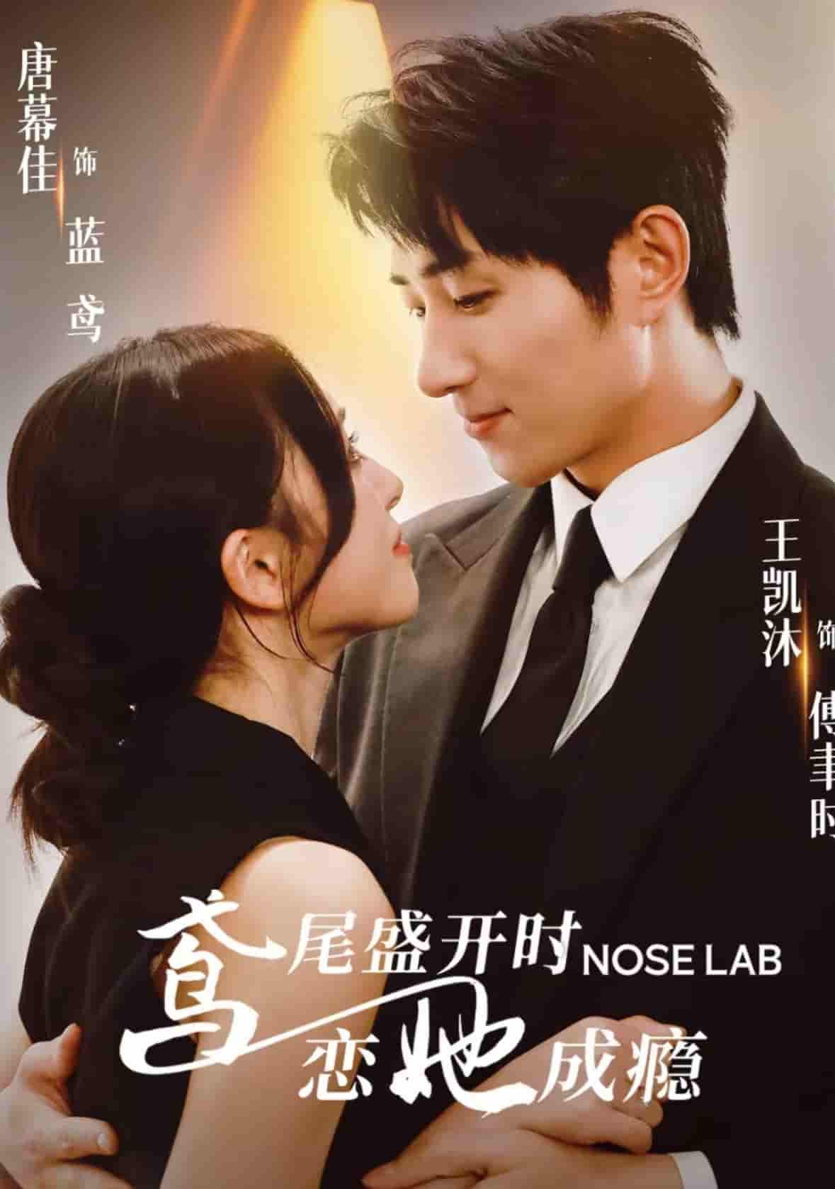 鸢尾盛开时恋她成瘾封面图