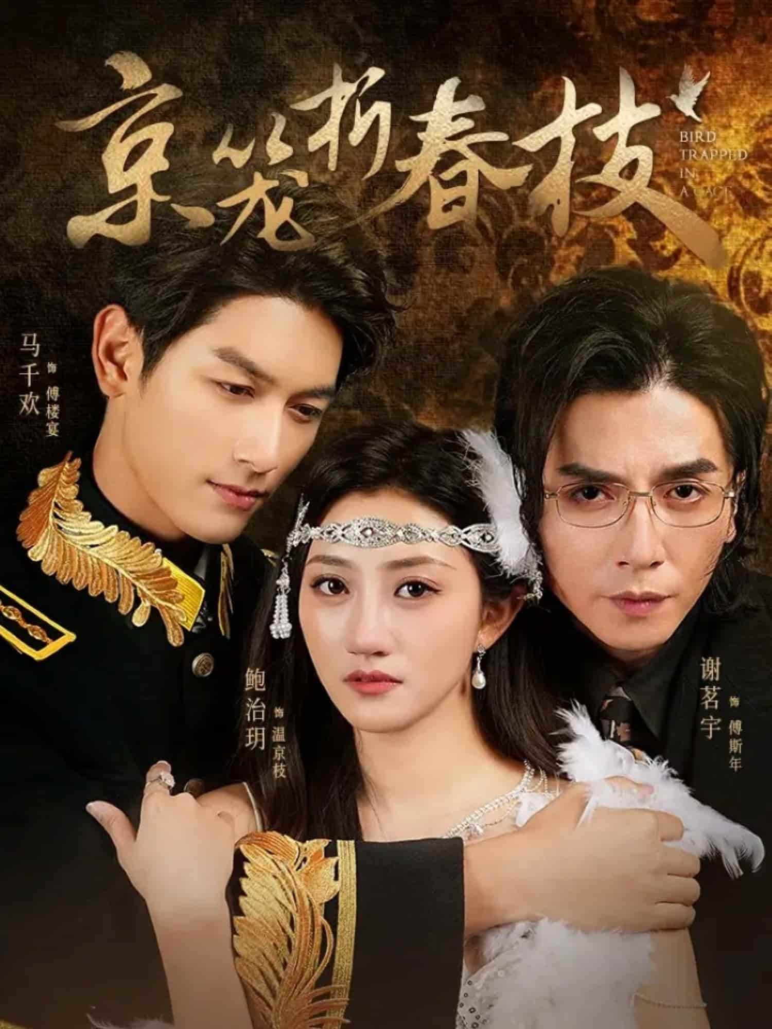 京笼折春枝封面图