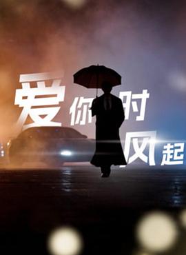 爱你时风起