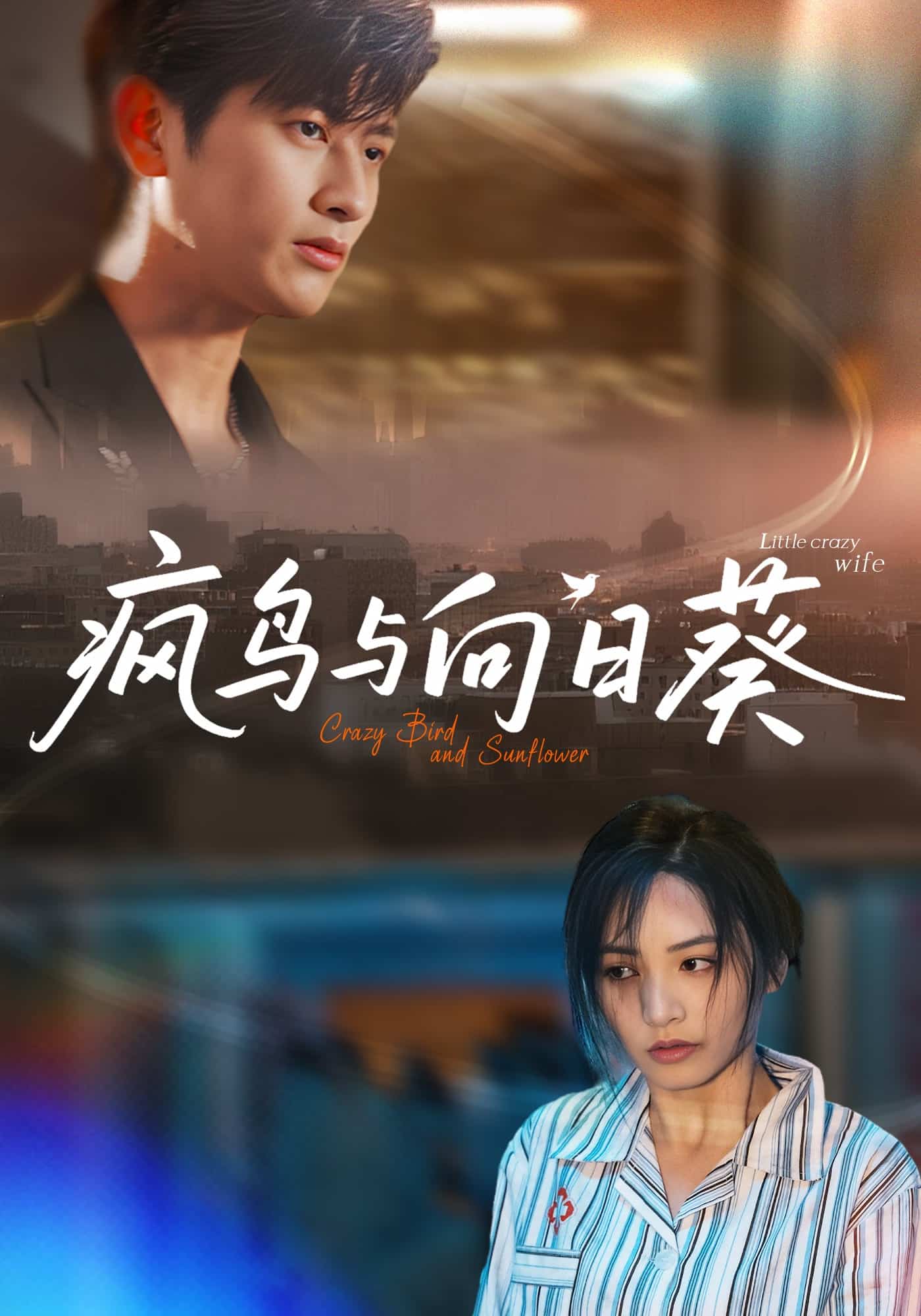 疯鸟与向日葵封面图