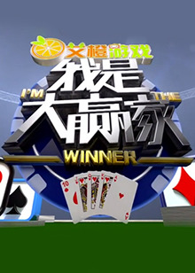 我是大赢家2012封面图