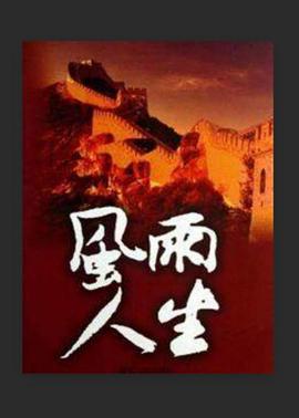 风雨人生封面图