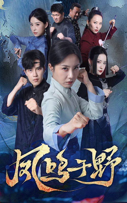 凤鸣于野封面图