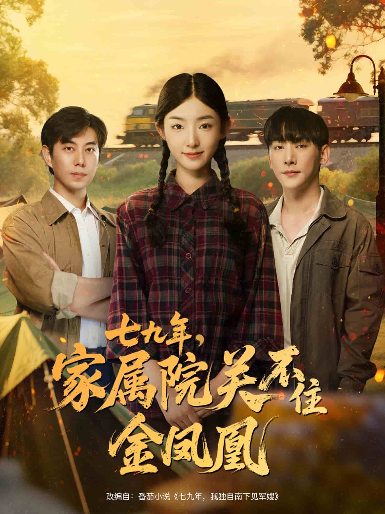 七九年家属院关不住金凤凰封面图