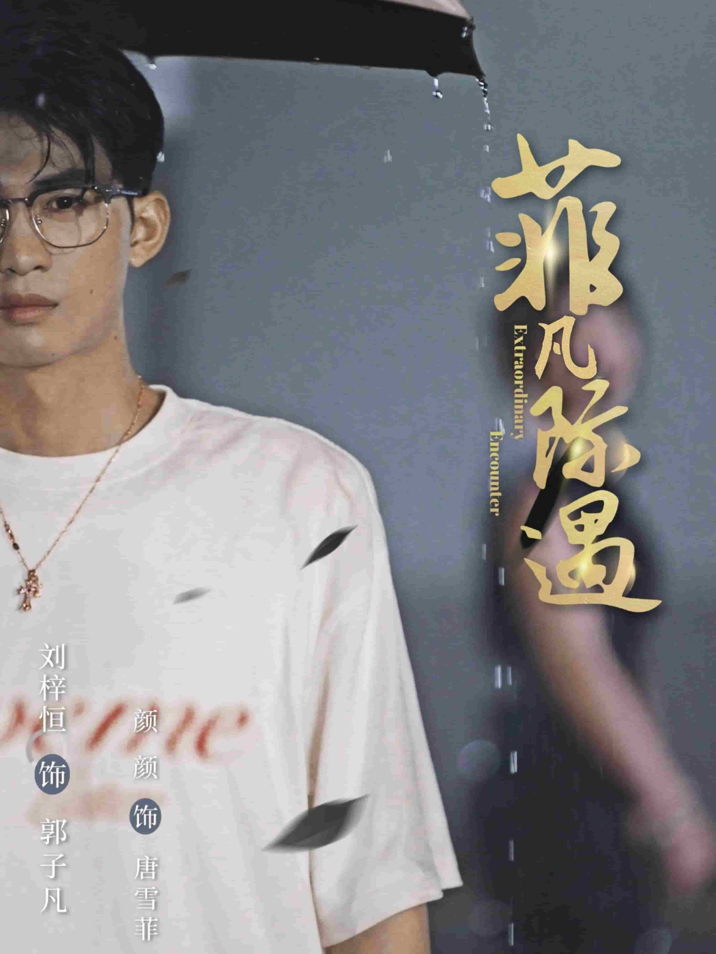 菲凡际遇封面图