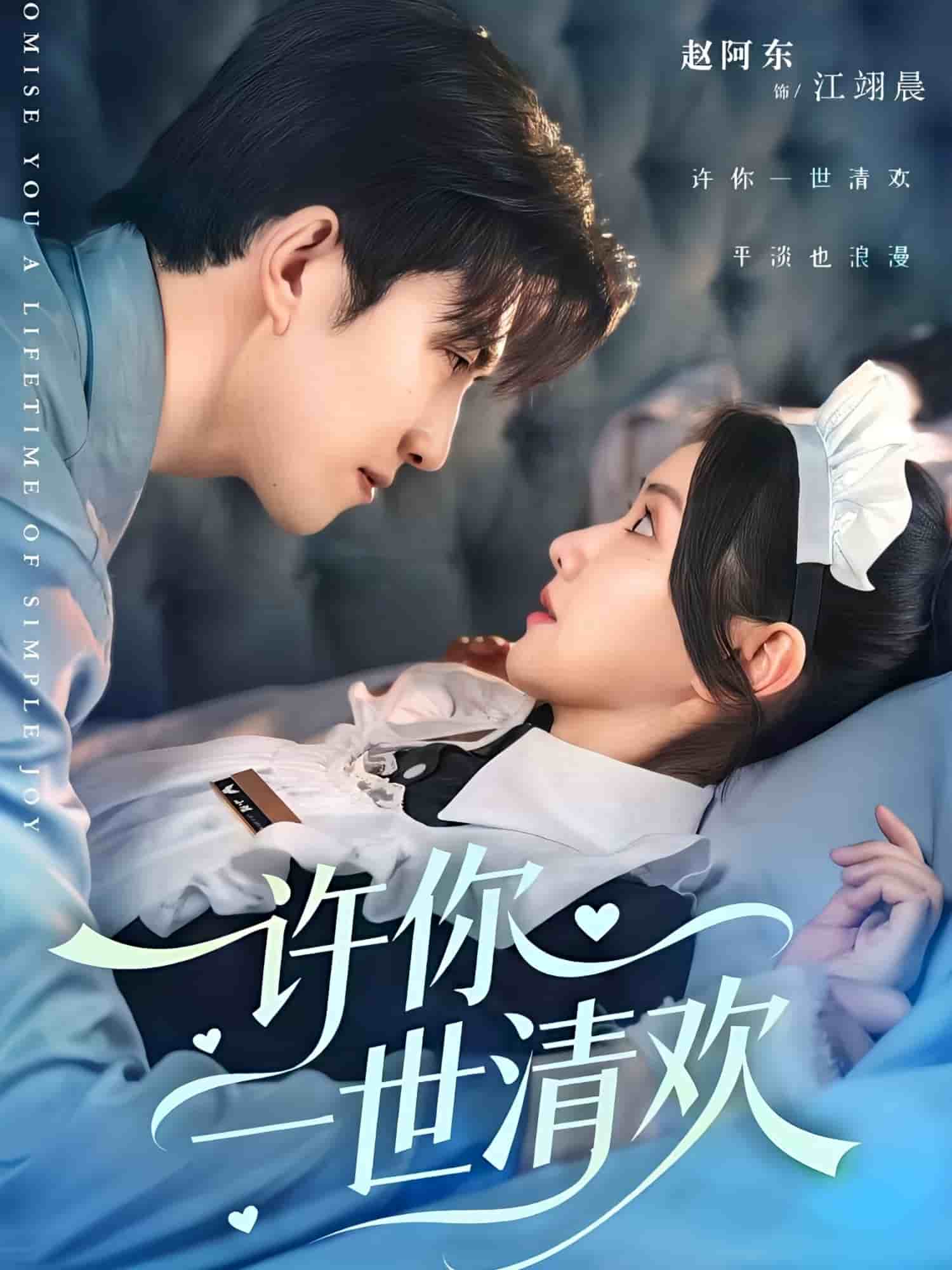 许你一世清欢封面图