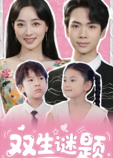 双生谜题封面图