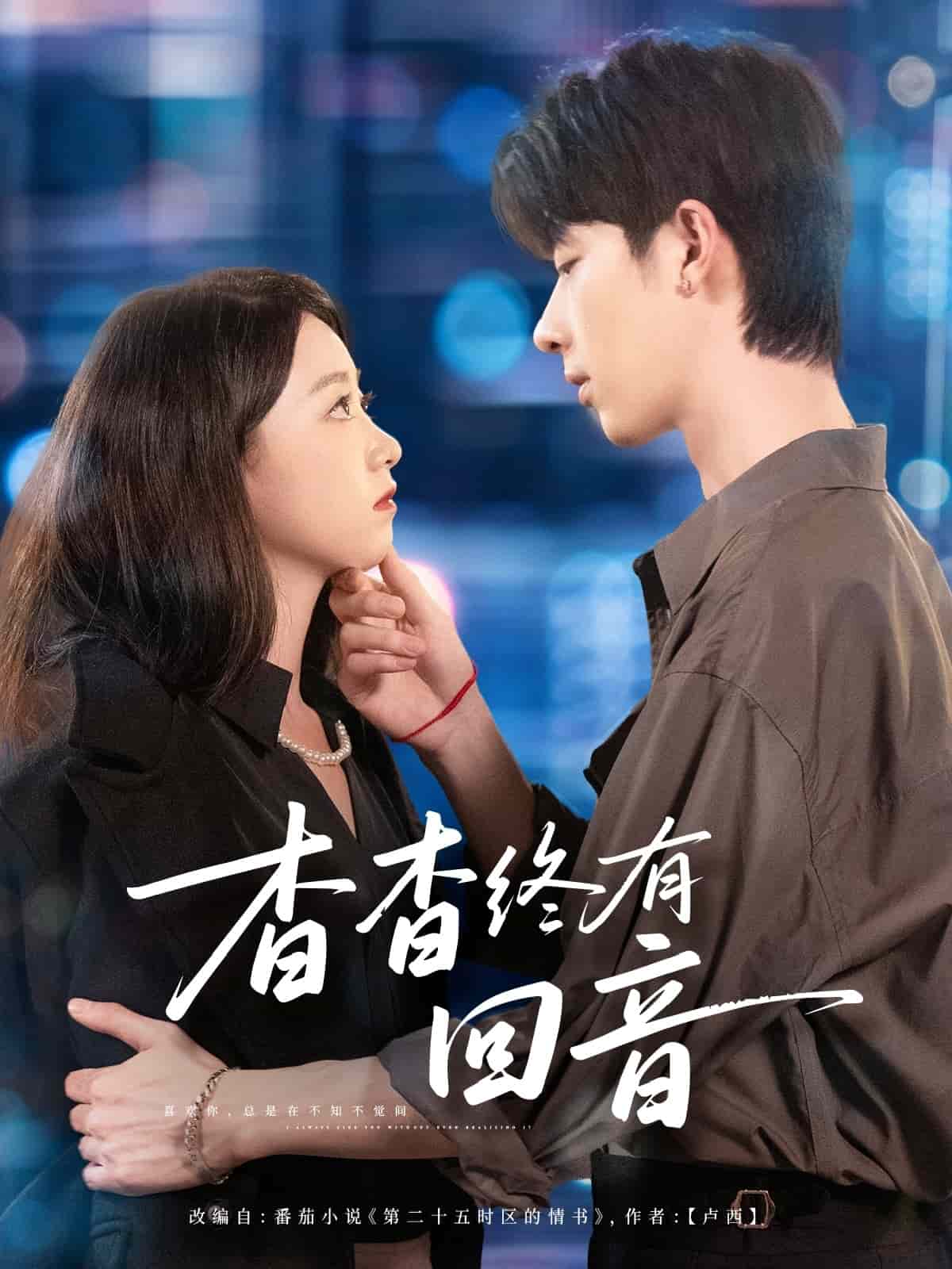 杳杳终有回音封面图