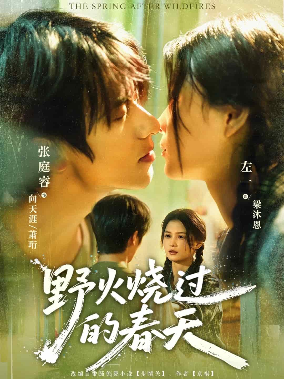 野火烧过的春天封面图