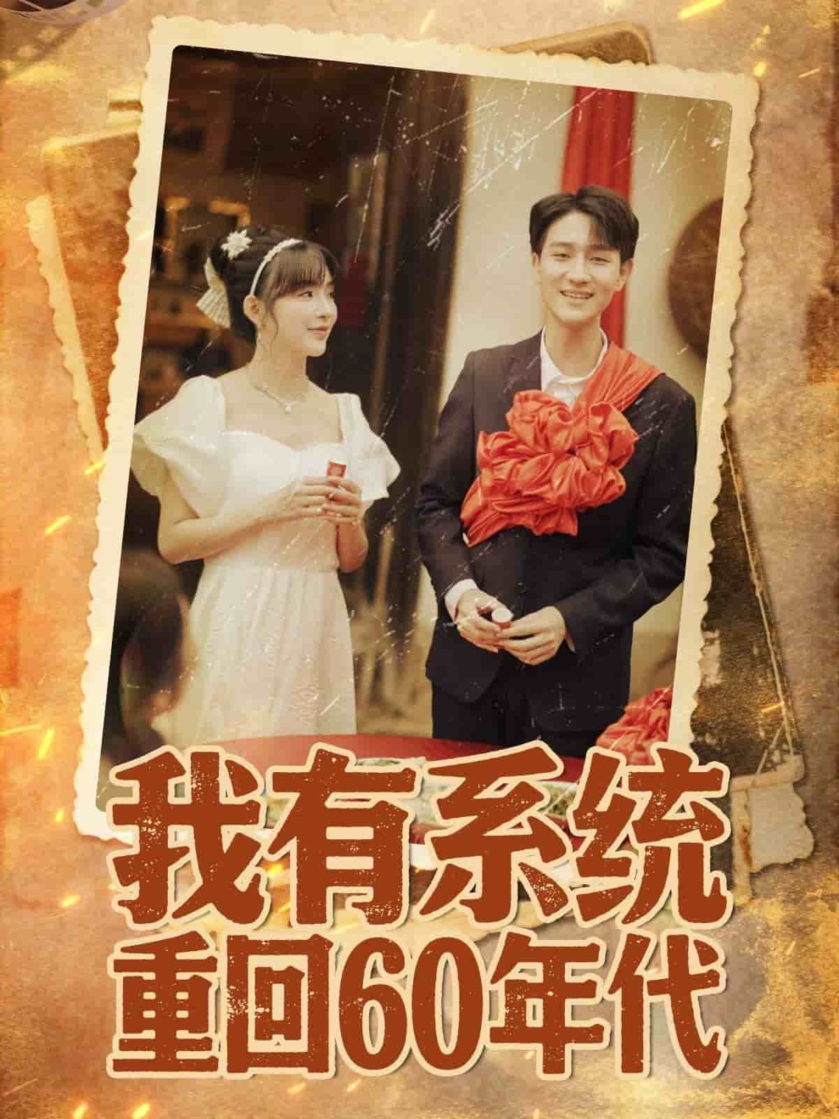 重回六零我靠系统娶媳妇封面图