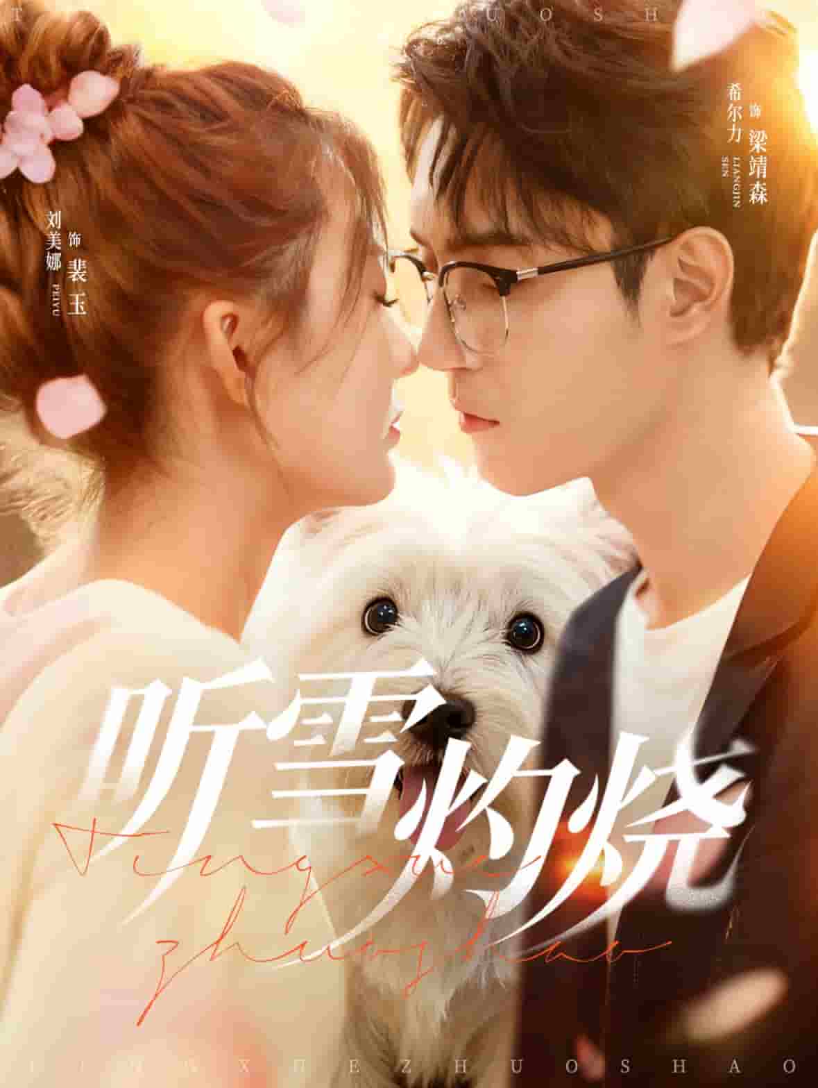 听雪灼烧封面图