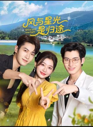 风与星光是归途封面图