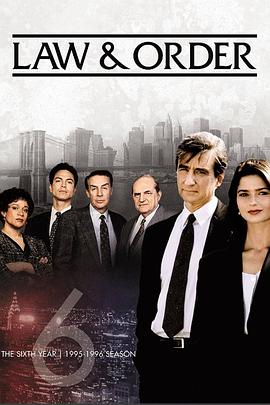 法律与秩序第六季封面图
