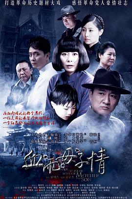 血雨母子情封面图