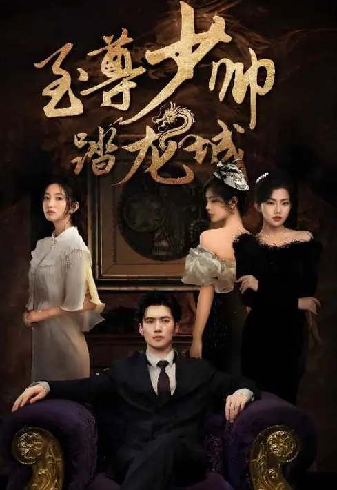 至尊少帅踏龙城封面图