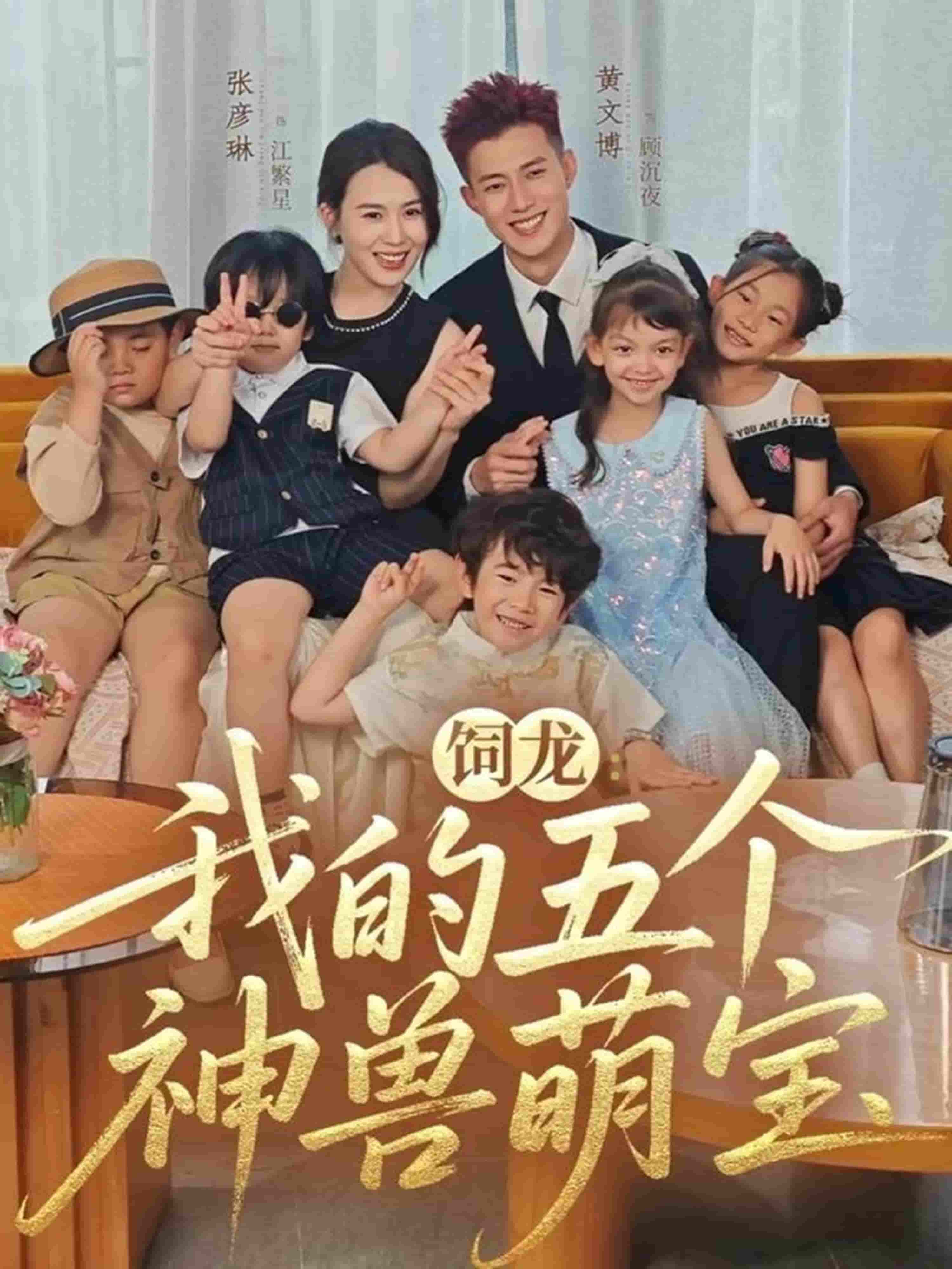 饲龙：我的五个神兽萌宝封面图