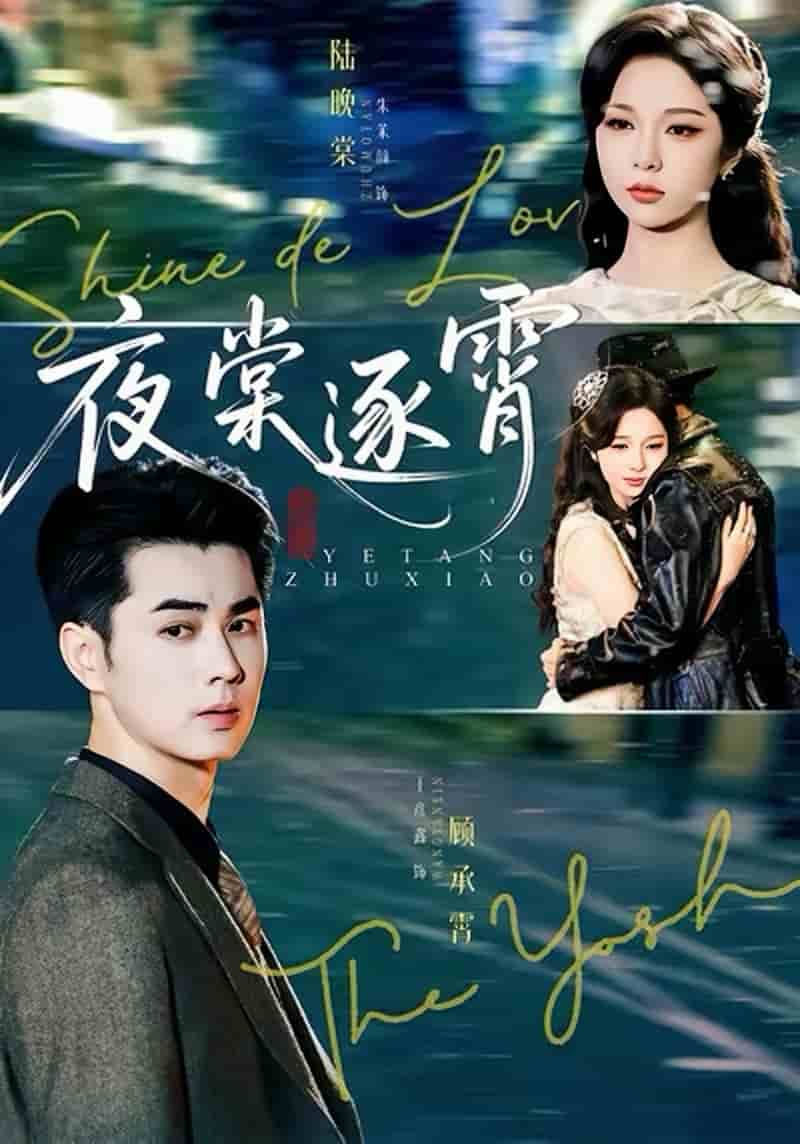 夜棠逐霄封面图