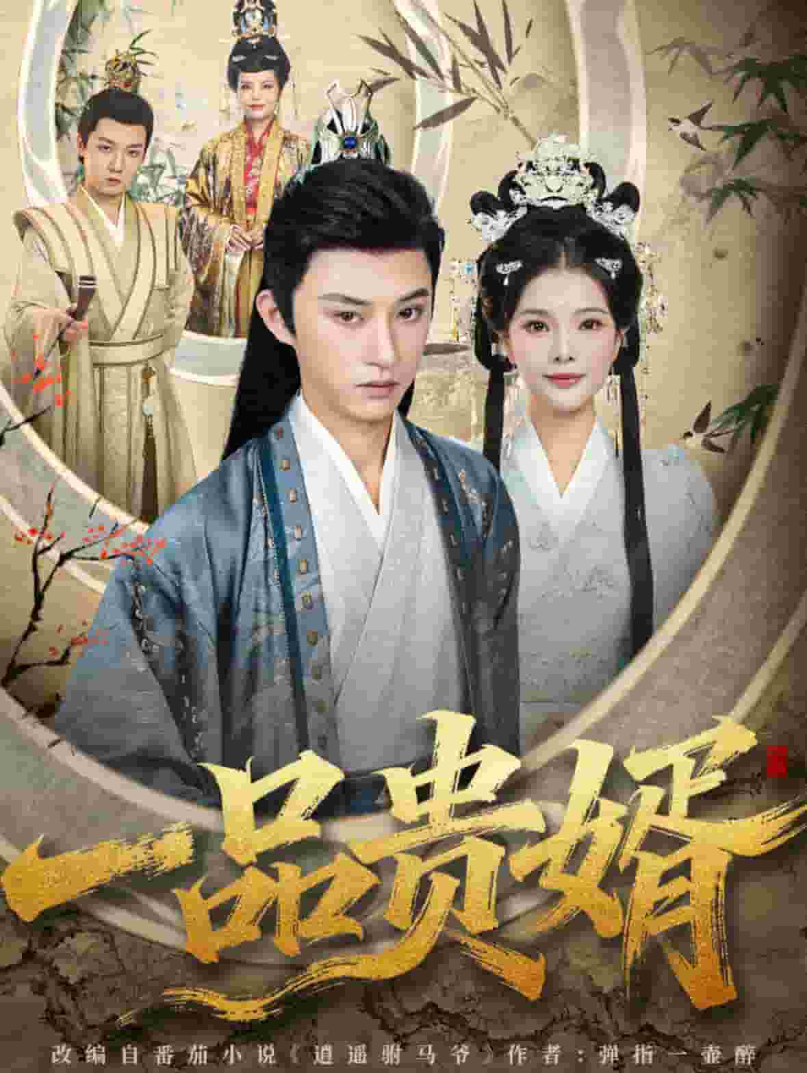 一品贵婿封面图