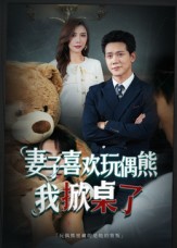 妻子玩偶里的秘密封面图