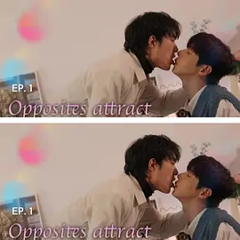 反向吸引封面图