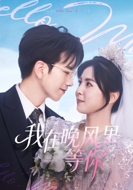 我在晚风里等你封面图