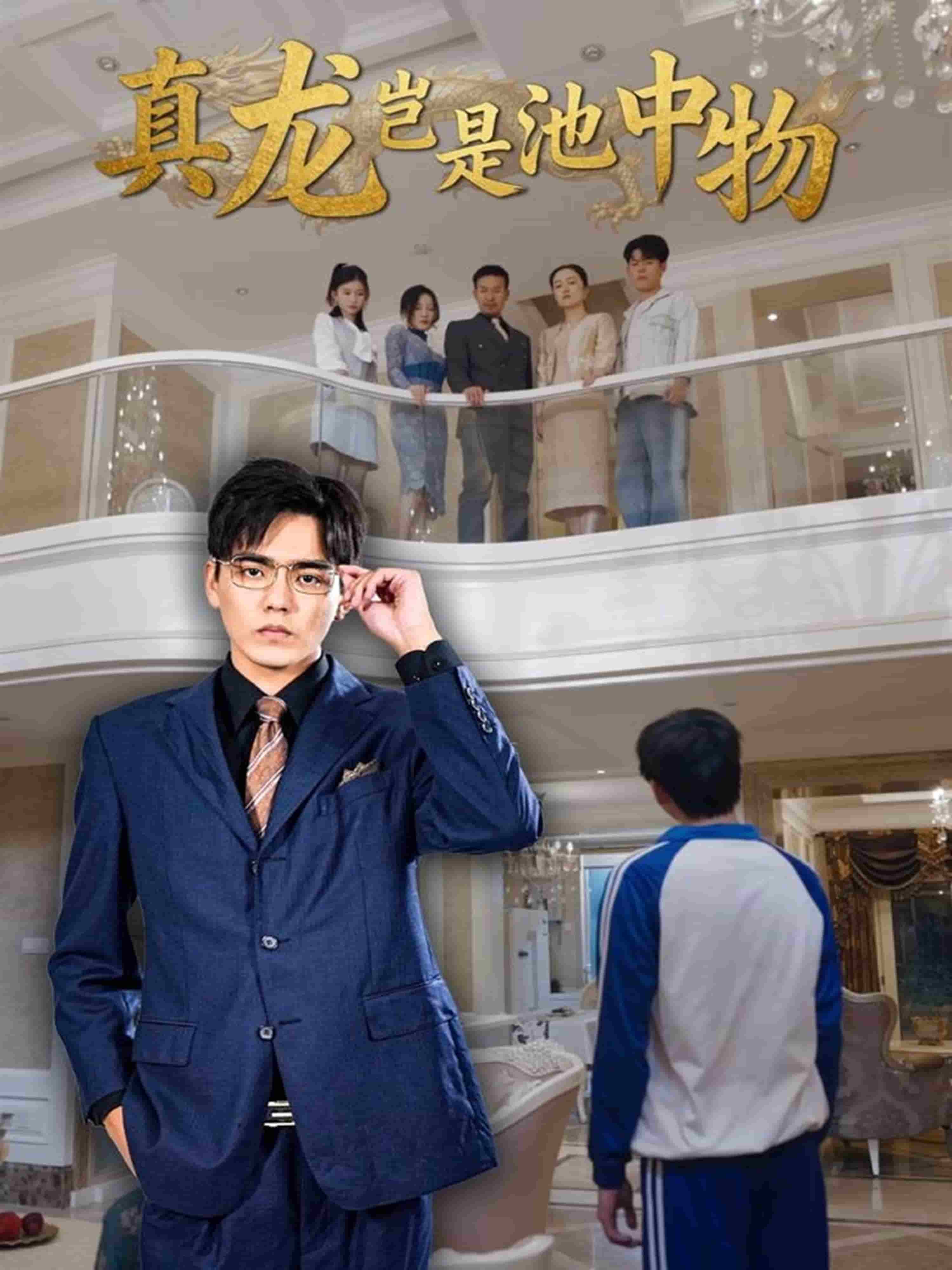 真龙岂是池中物封面图