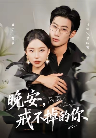 晚安戒不掉的你封面图