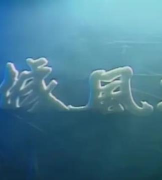 龙城风云1990封面图